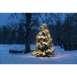 Konstsmide Micro LED Büschelllichterkette Cluster 576 Dioden, 36V Außen Trafo -Konstsmide Verkäufe 122706 1533 5