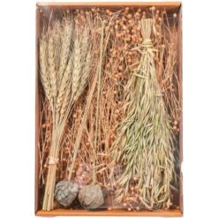 Bastelbox Trockenblume 5 Cm X 26 Cm X 38 Cm Grün